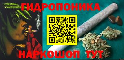 хмурый Дубна