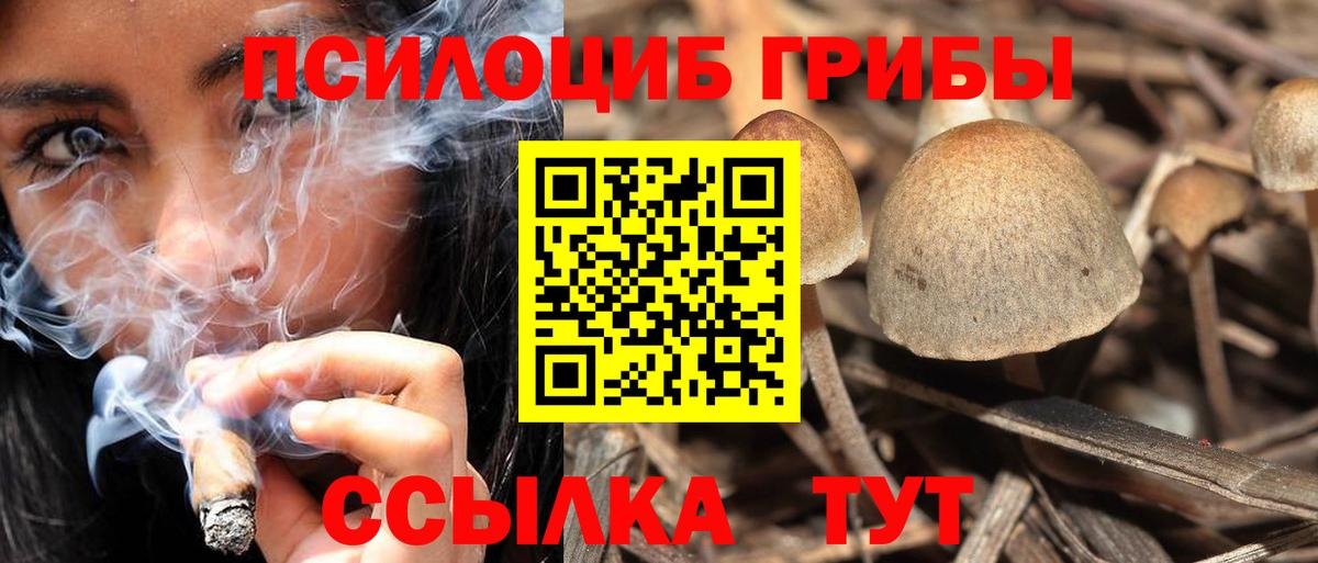 Псилоцибиновые грибы мухоморы  Вход с VPN  Минусинск 
